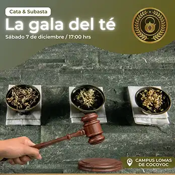 La gala del té