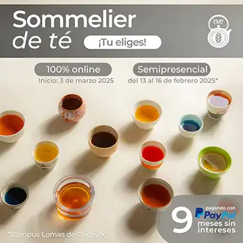 Sommelier de Té